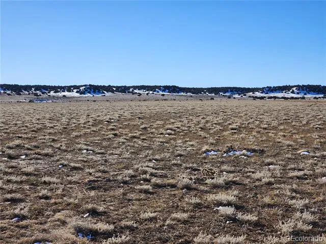 000 County Rd 78.0 Model, CO 81059