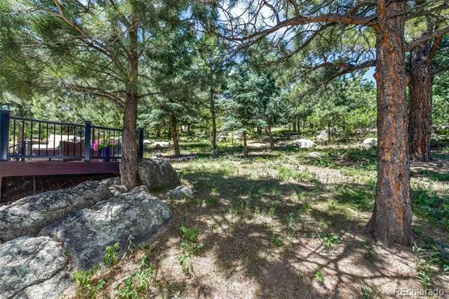 470 Paisley Drive Colorado Springs, CO 80906