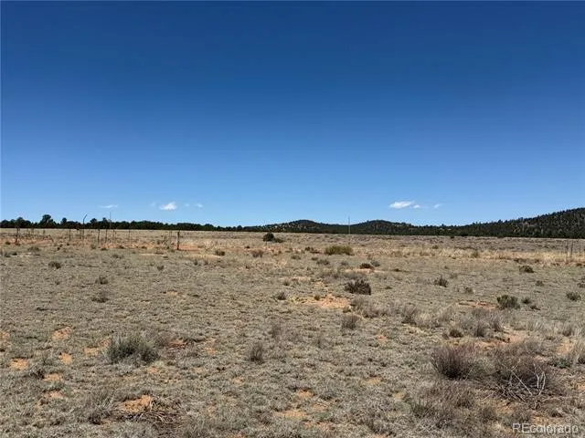 1048 Blazing Saddle Trail Cotopaxi, CO 81223