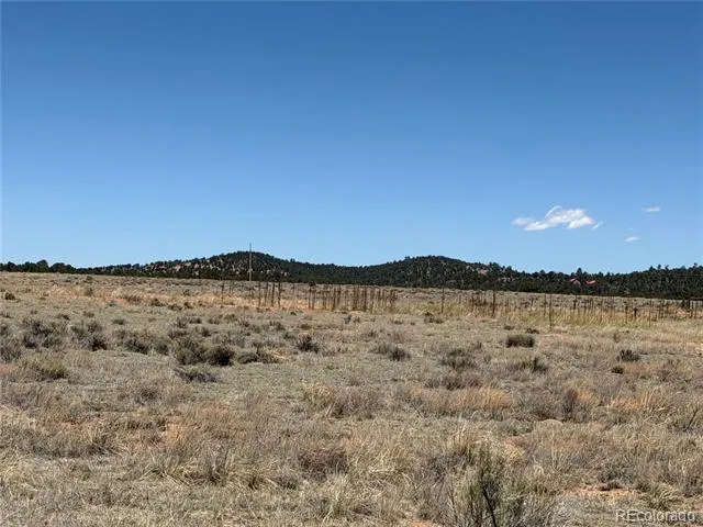 1048 Blazing Saddle Trail Cotopaxi, CO 81223