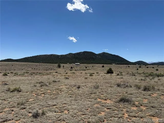 1048 Blazing Saddle Trail Cotopaxi, CO 81223