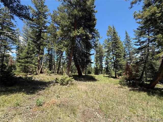 Spring Creek Ranch Road Silverthorne, CO 80498