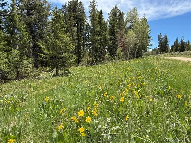 Spring Creek Ranch Road Silverthorne, CO 80498