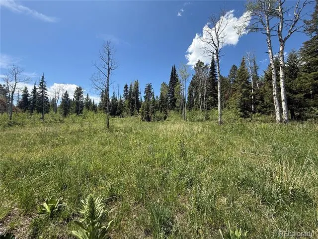 Spring Creek Ranch Road Silverthorne, CO 80498
