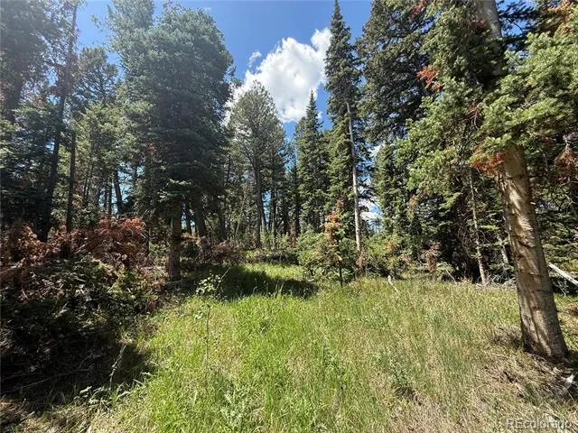 Spring Creek Ranch Road Silverthorne, CO 80498