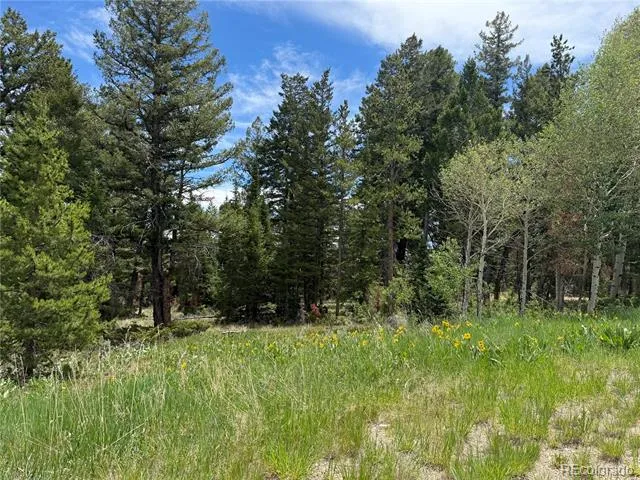 Spring Creek Ranch Road Silverthorne, CO 80498