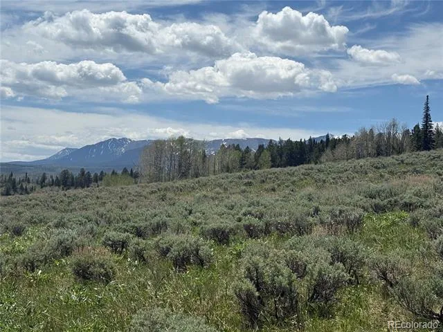 Spring Creek Ranch Road Silverthorne, CO 80498