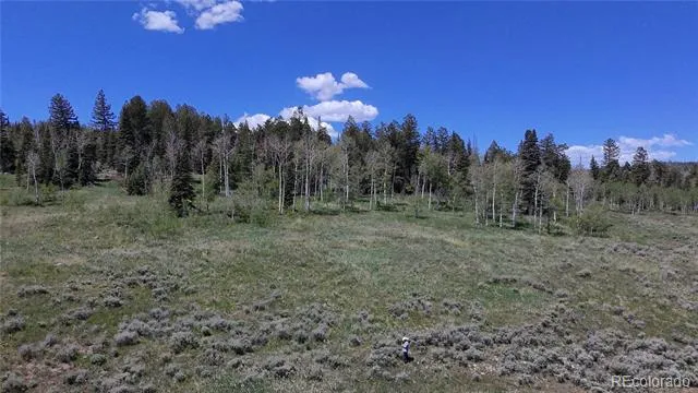 Spring Creek Ranch Road Silverthorne, CO 80498