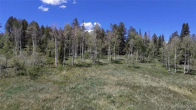Spring Creek Ranch Road Silverthorne, CO 80498