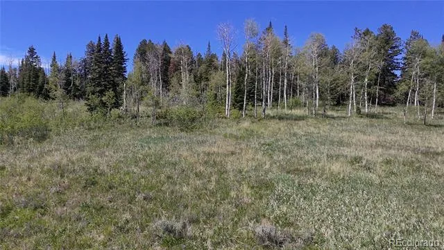 Spring Creek Ranch Road Silverthorne, CO 80498
