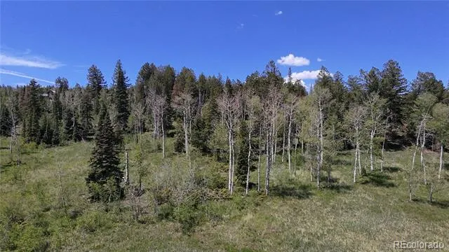 Spring Creek Ranch Road Silverthorne, CO 80498