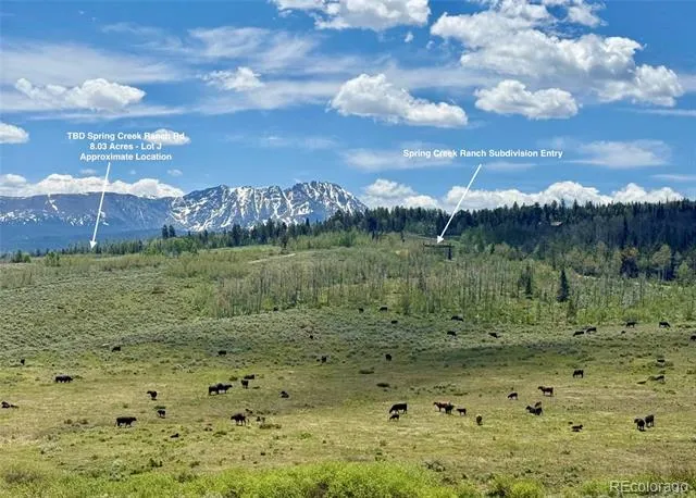 Spring Creek Ranch Road Silverthorne, CO 80498