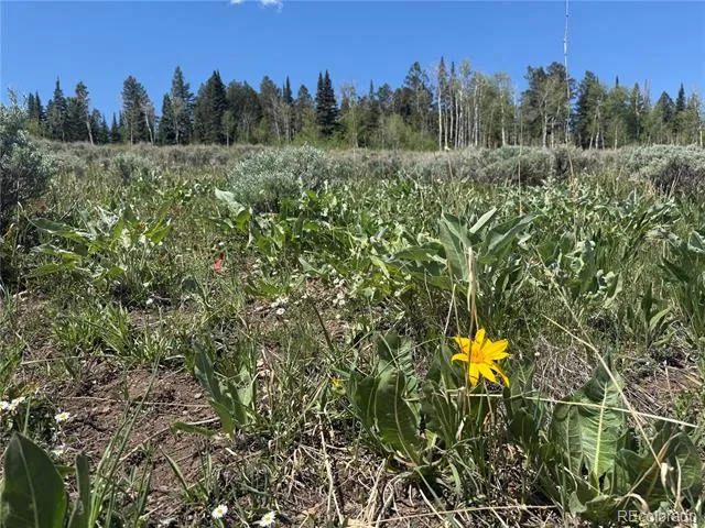 Spring Creek Ranch Road Silverthorne, CO 80498