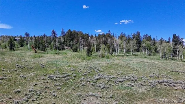 Spring Creek Ranch Road Silverthorne, CO 80498