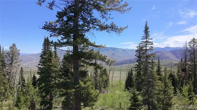 Spring Creek Ranch Road Silverthorne, CO 80498