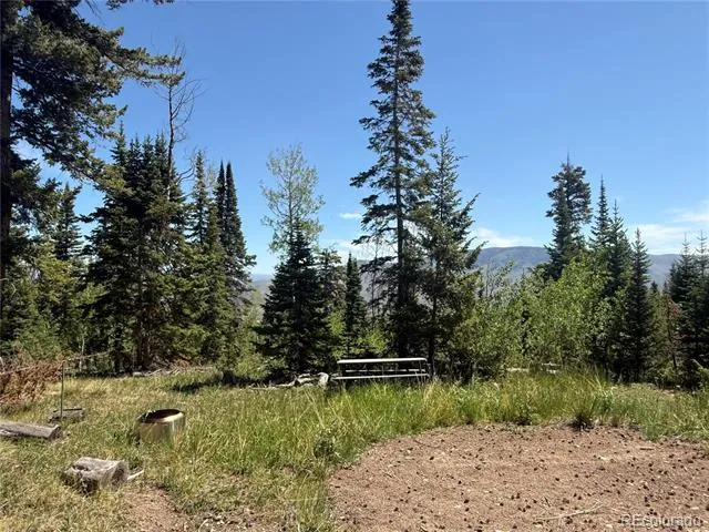 Spring Creek Ranch Road Silverthorne, CO 80498