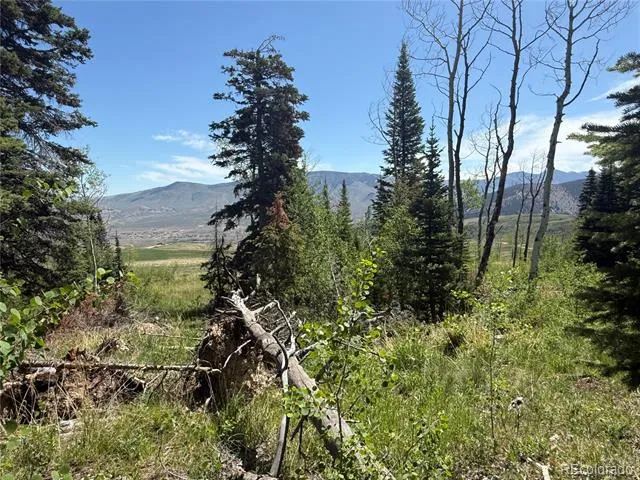 Spring Creek Ranch Road Silverthorne, CO 80498