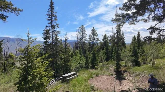 Spring Creek Ranch Road Silverthorne, CO 80498