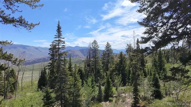 Spring Creek Ranch Road Silverthorne, CO 80498