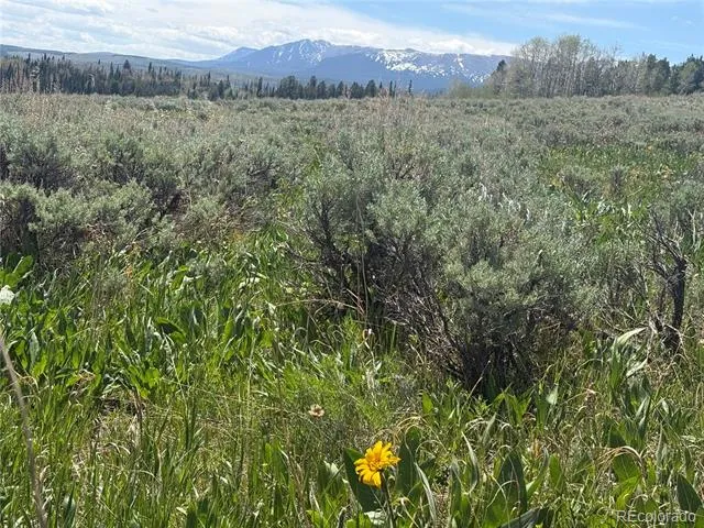 Spring Creek Ranch Road Silverthorne, CO 80498