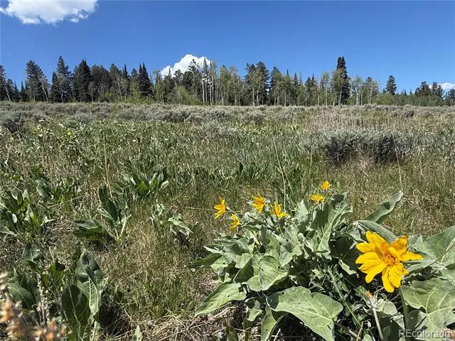 Spring Creek Ranch Road Silverthorne, CO 80498