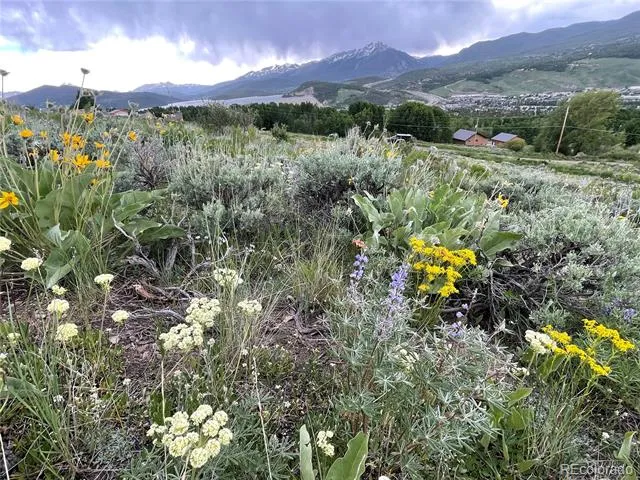 371 Z ROAD Silverthorne, CO 80498