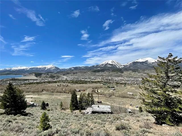 371 Z ROAD Silverthorne, CO 80498