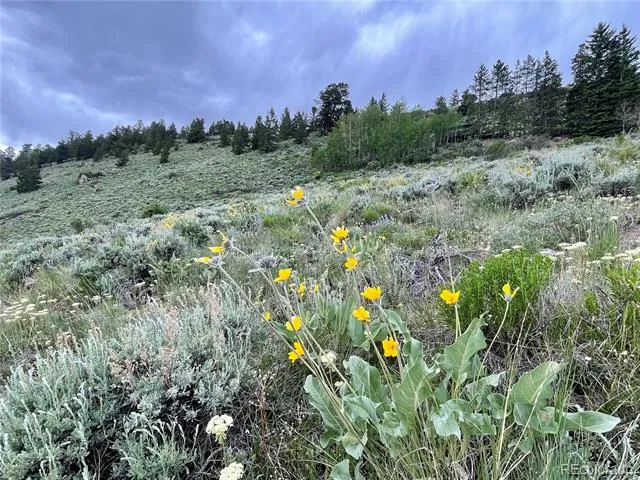 371 Z ROAD Silverthorne, CO 80498