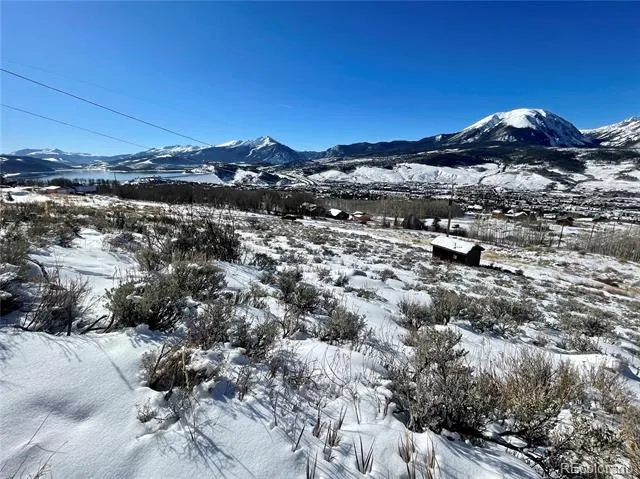 371 Z ROAD Silverthorne, CO 80498