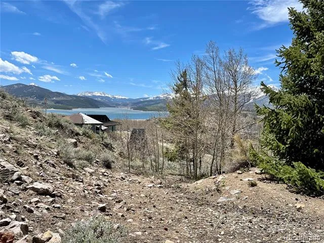 371 Z ROAD Silverthorne, CO 80498