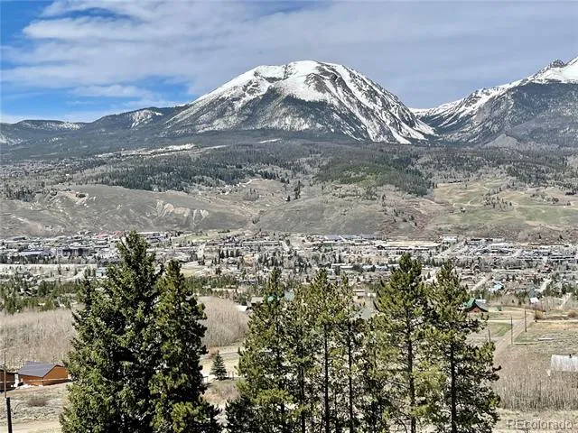 371 Z ROAD Silverthorne, CO 80498