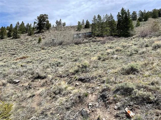 371 Z ROAD Silverthorne, CO 80498