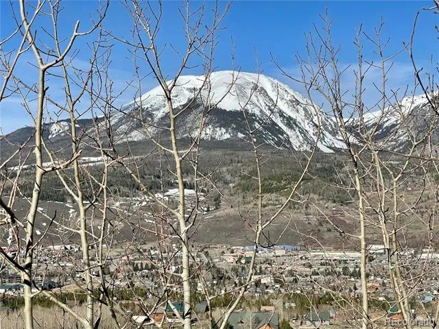 371 Z ROAD Silverthorne, CO 80498