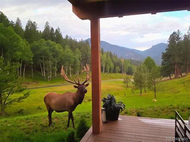 338 Red Lily Place Evergreen, CO 80439