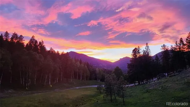 338 Red Lily Place Evergreen, CO 80439
