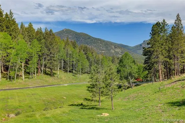 338 Red Lily Place Evergreen, CO 80439
