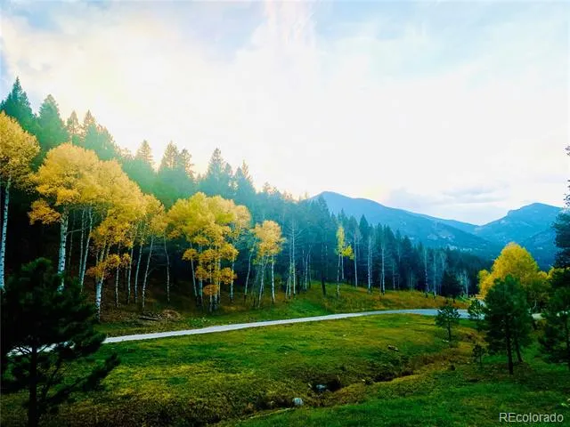 338 Red Lily Place Evergreen, CO 80439