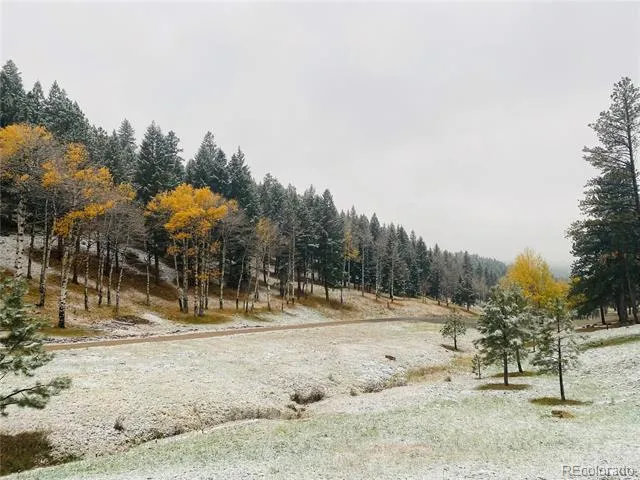 338 Red Lily Place Evergreen, CO 80439