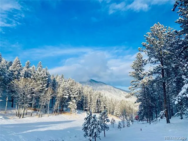 338 Red Lily Place Evergreen, CO 80439