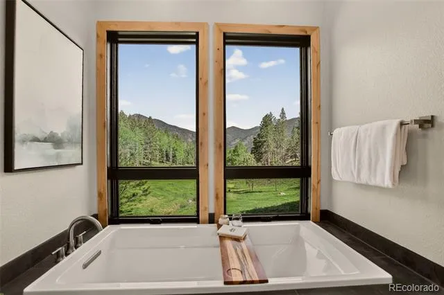 338 Red Lily Place Evergreen, CO 80439