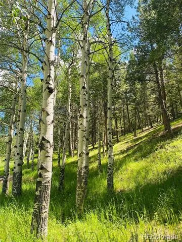 338 Red Lily Place Evergreen, CO 80439