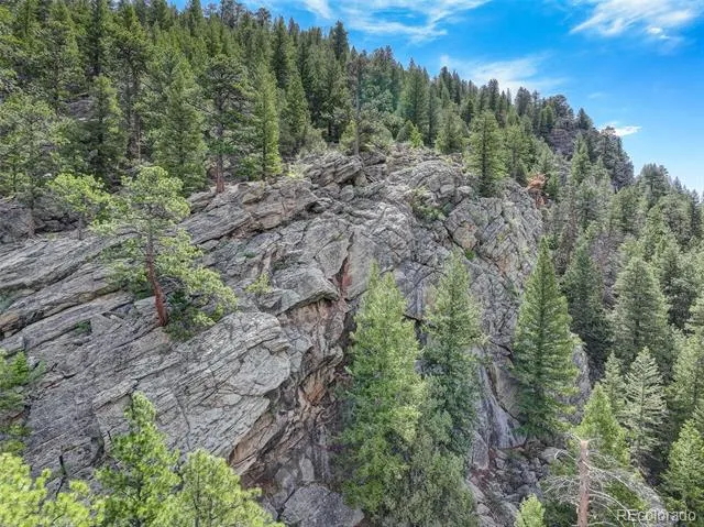 338 Red Lily Place Evergreen, CO 80439