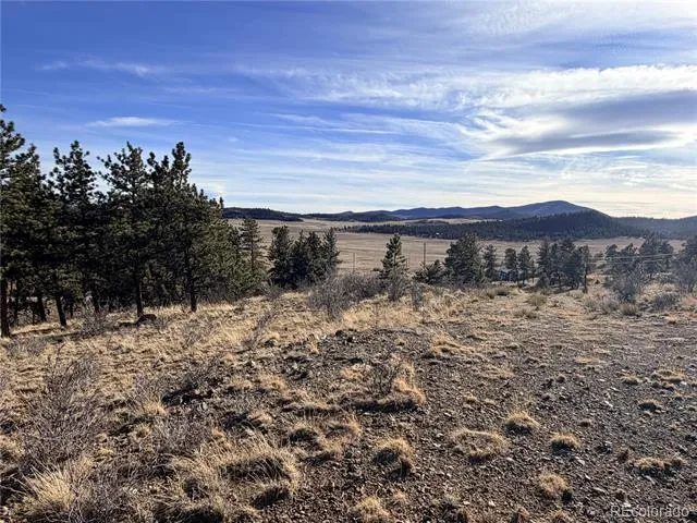 729 Bridle Path Hartsel, CO 80449