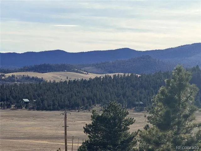 729 Bridle Path Hartsel, CO 80449