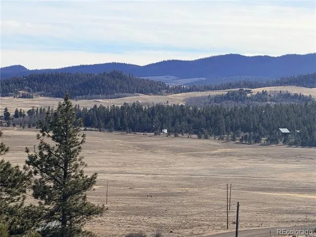 729 Bridle Path Hartsel, CO 80449