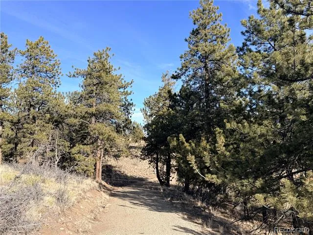 729 Bridle Path Hartsel, CO 80449