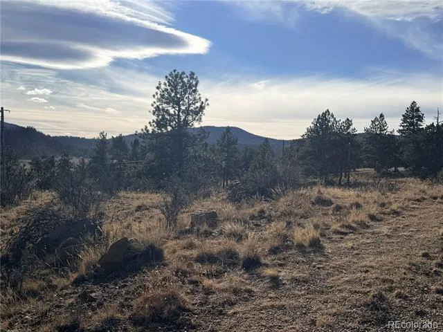 729 Bridle Path Hartsel, CO 80449
