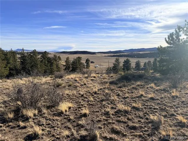 729 Bridle Path Hartsel, CO 80449