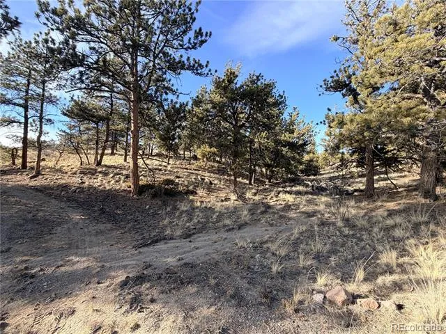 729 Bridle Path Hartsel, CO 80449