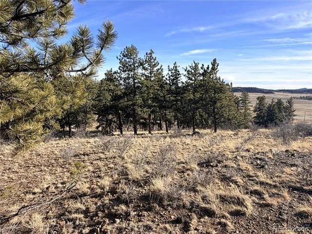 729 Bridle Path Hartsel, CO 80449